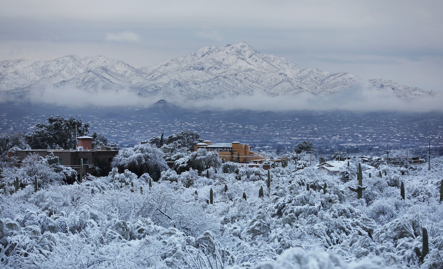 Snow, Tucson, 2023